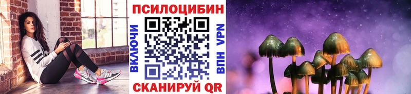 Галлюциногенные грибы прущие грибы  OMG вход  Каргат 